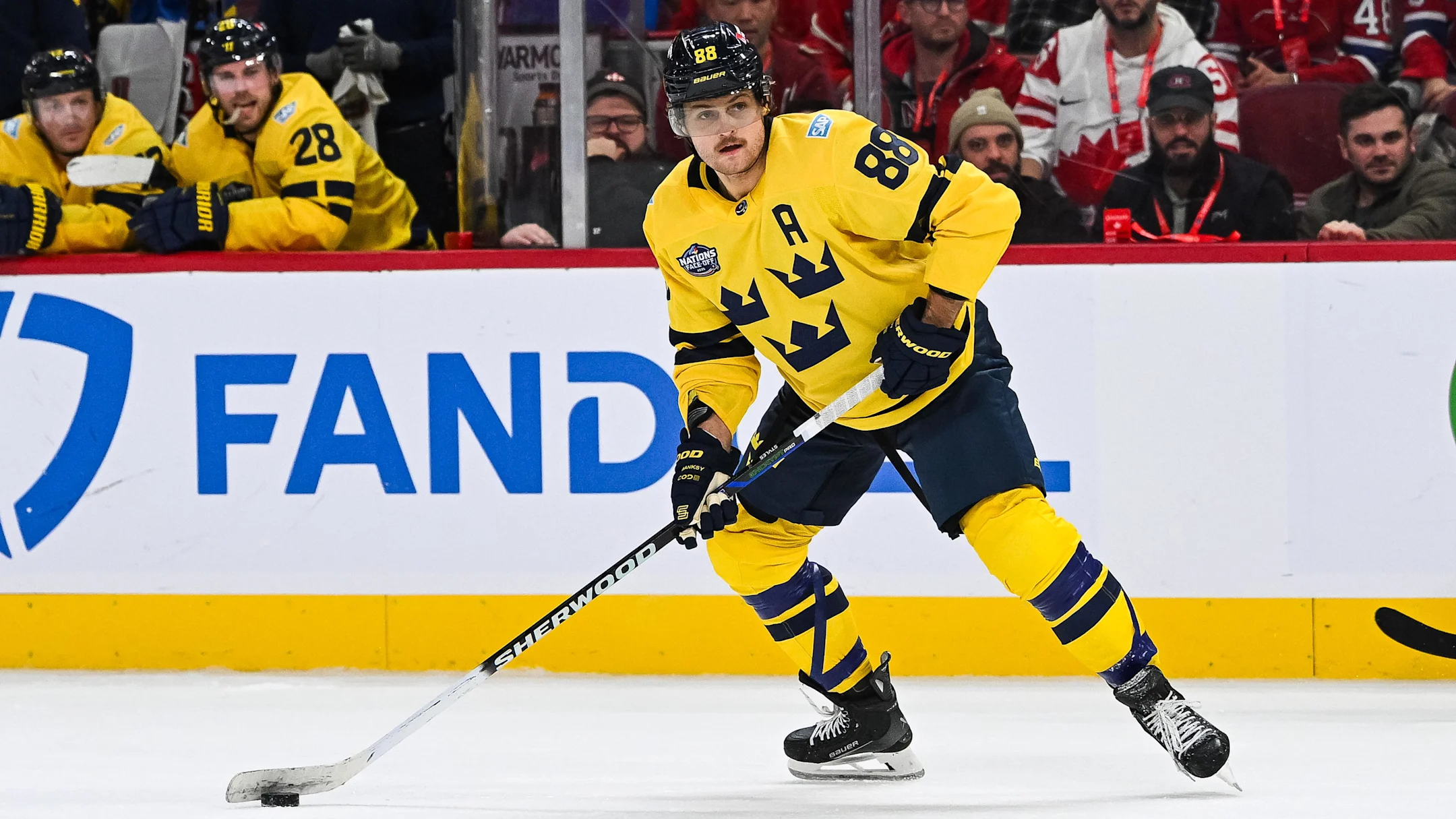 WILLIAM NYLANDER, IS THAT YOU? Maple Leafs Star Wins Top Swedish Award and We’re Not Surprised