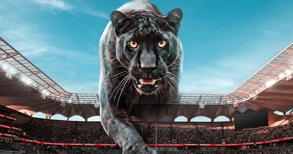 CONGRATULATIONS: The Penrith Panthers have confirmed a historic $409 million stadium agreement, marking a transformative chapter in the club’s future after securing a major partnership with Italian billionaire…