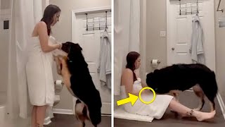 THE HIDDEN TRUTH: NRL Star Installs Camera to Solve the Mystery Behind His Wife Bringing Their Dog into the Shower 🐶🚿